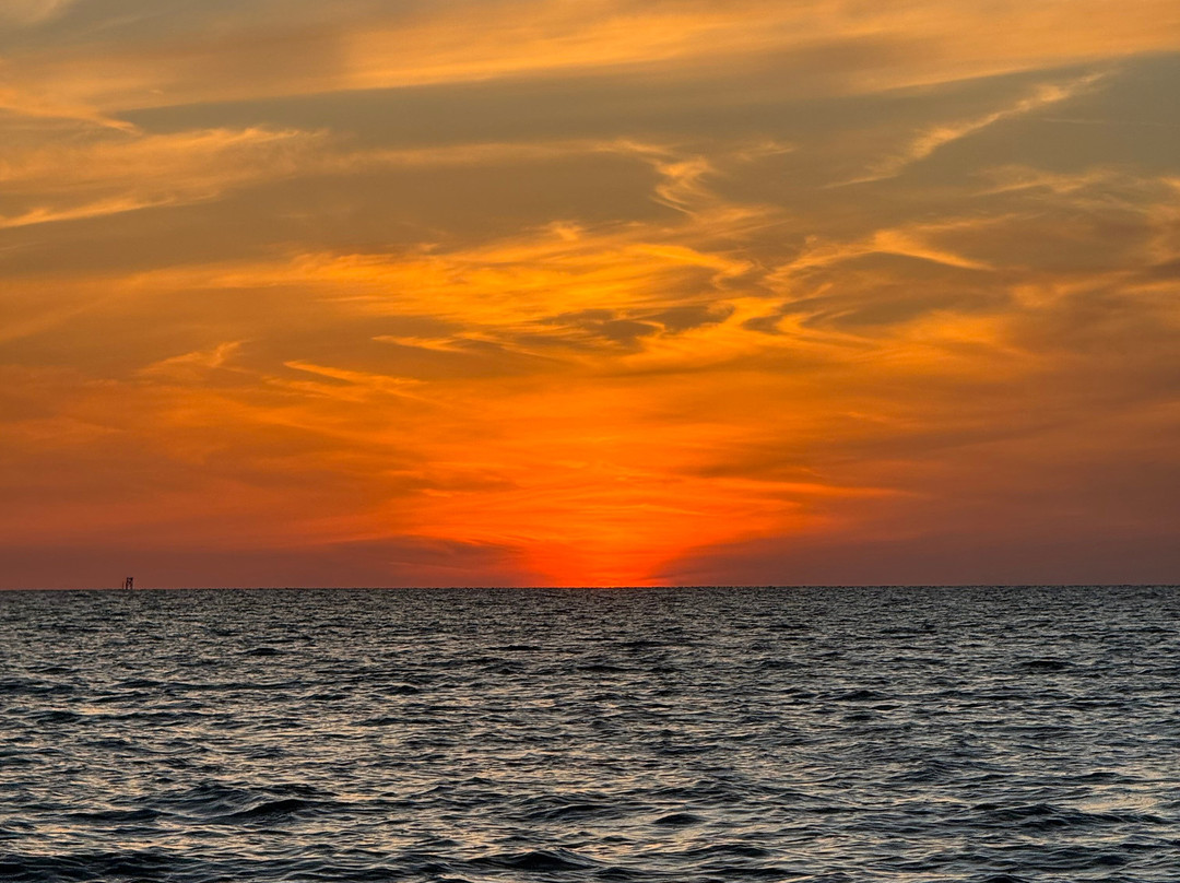 Marina Rose Cruises-Hernando Beach必去景点