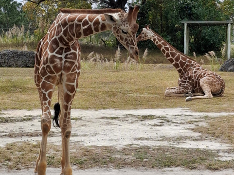 Passin Miami-迈阿密海滩必去景点