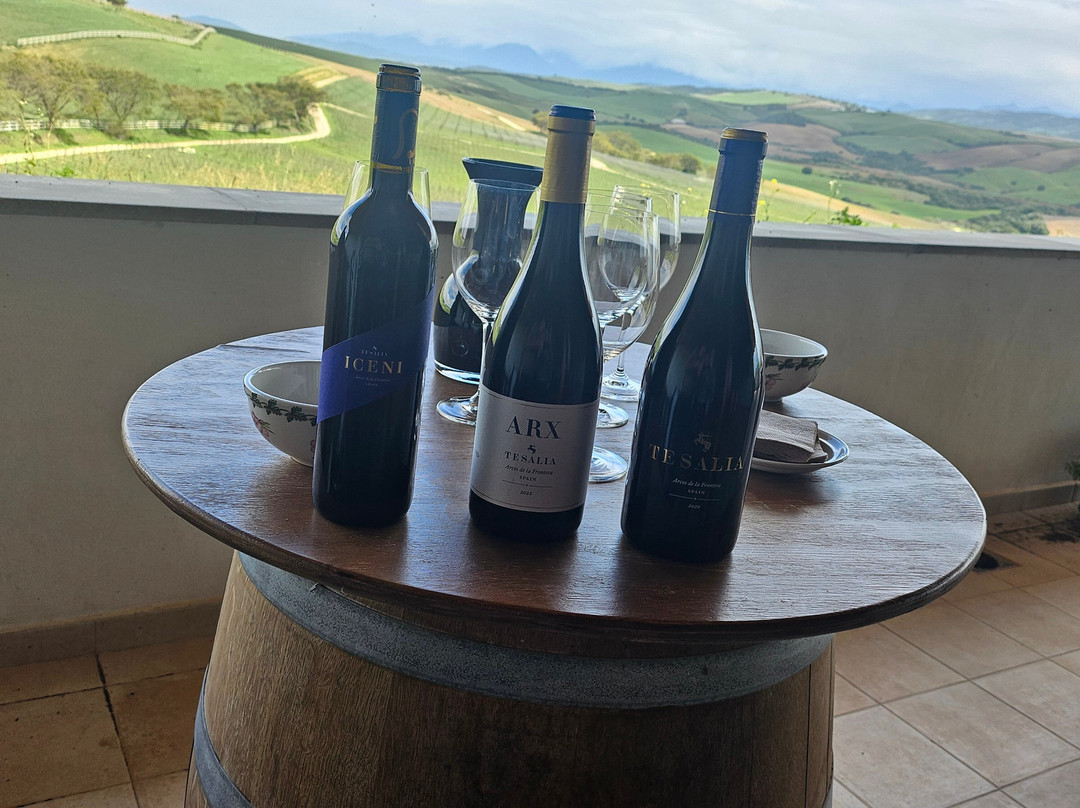 Bodega Tesalia-阿尔科斯－德拉弗龙特拉必去景点