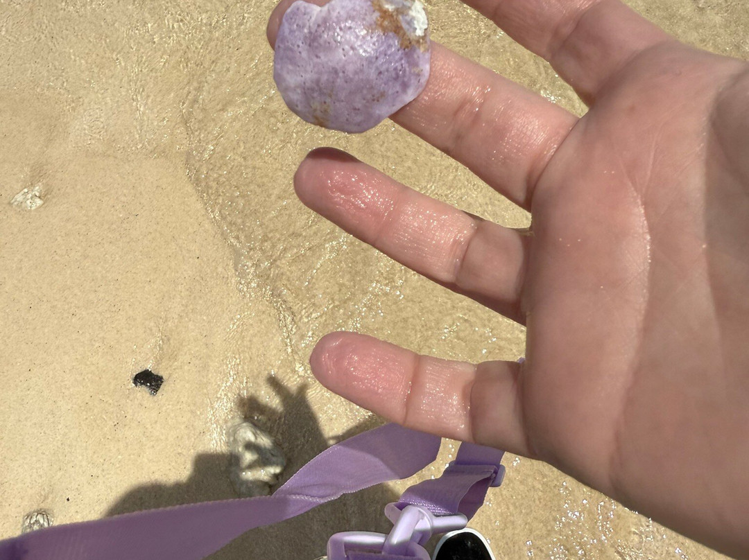 Black Rock Beach-拉罗汤加必去景点