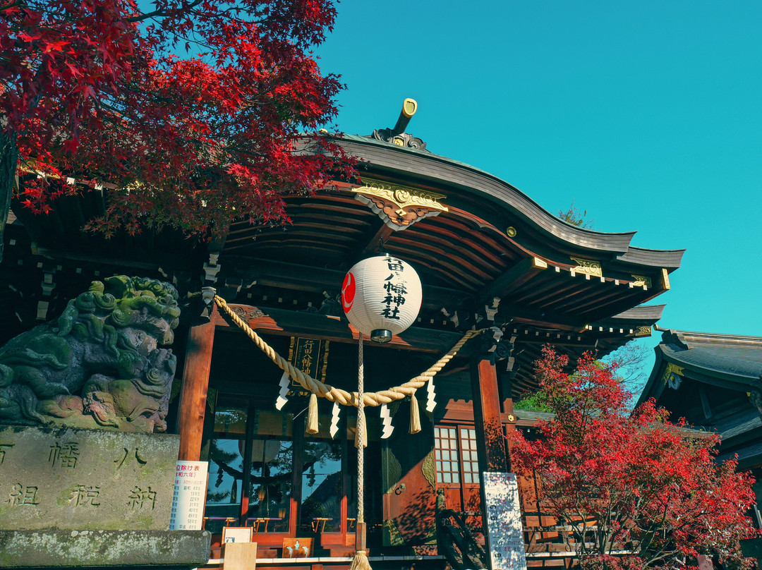 Chichibu Shrine-秩父市必去景点