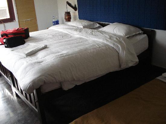 The Monarch Safari Park主图