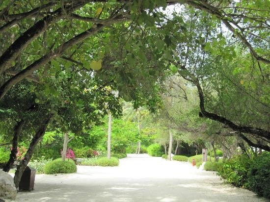 马尔代夫库达呼拉四季度假村主图