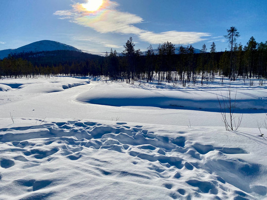 Polarlichtexpress-Kittilä必去景点