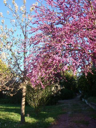 Quinta Vale de Marmelos主图