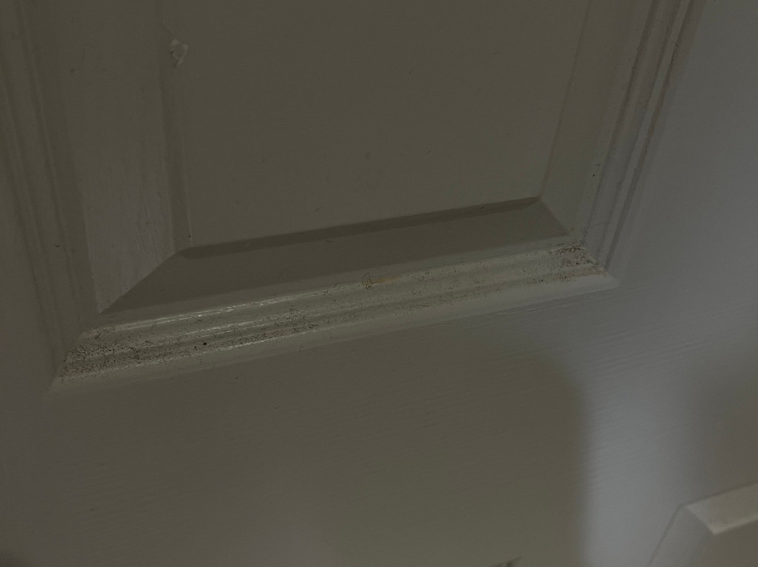 Homewood Suites by Hilton Windsor Locks Hartford主图