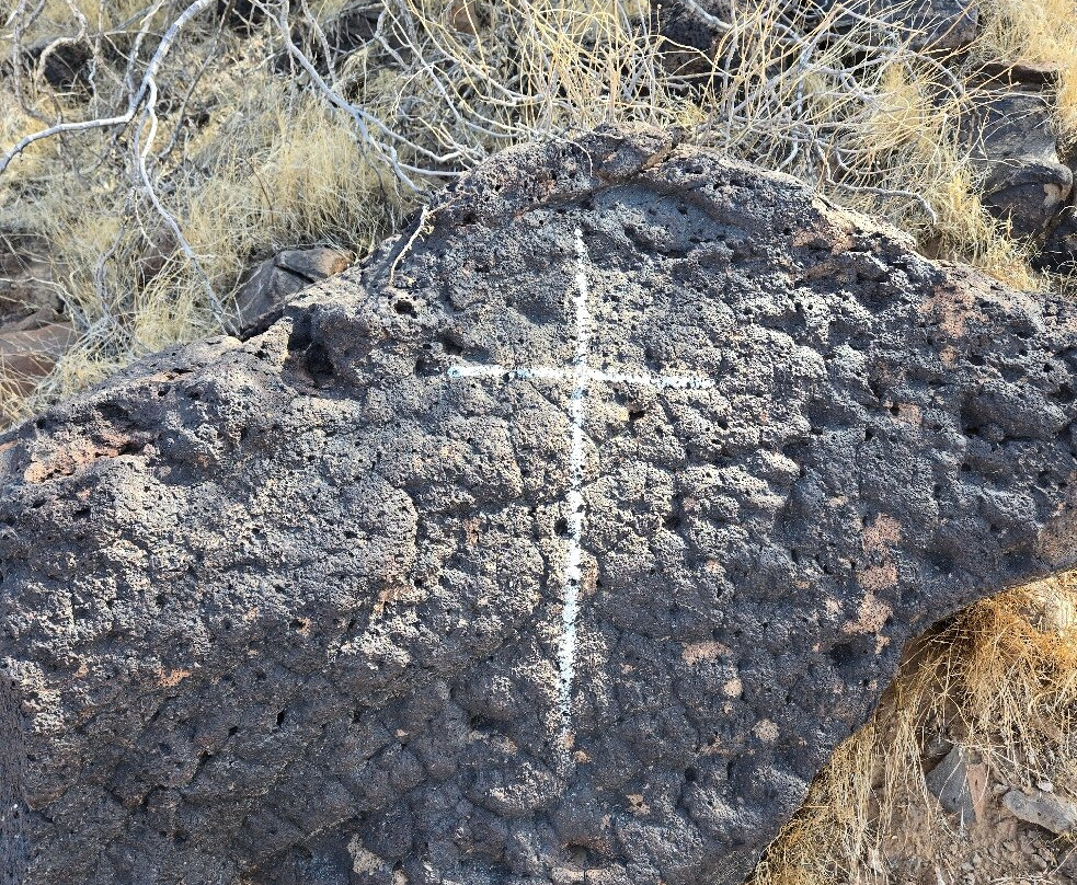 Thunderbird Conservation Park-格兰岱尔必去景点