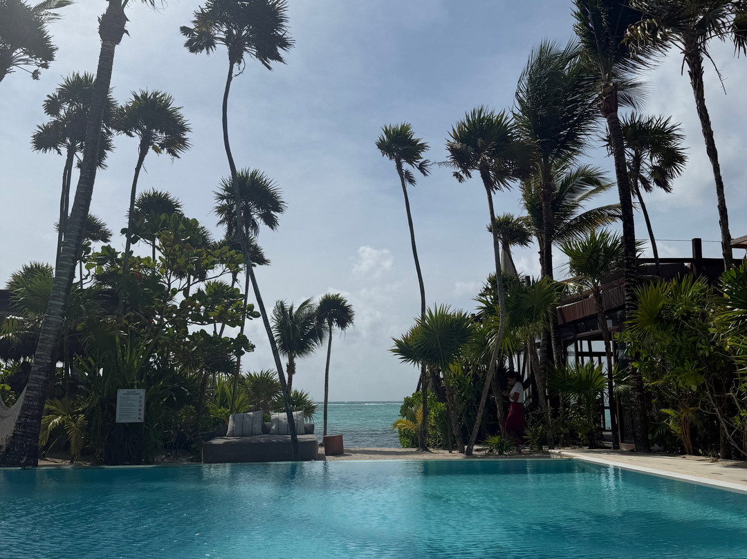 Jashita Hotel Tulum主图