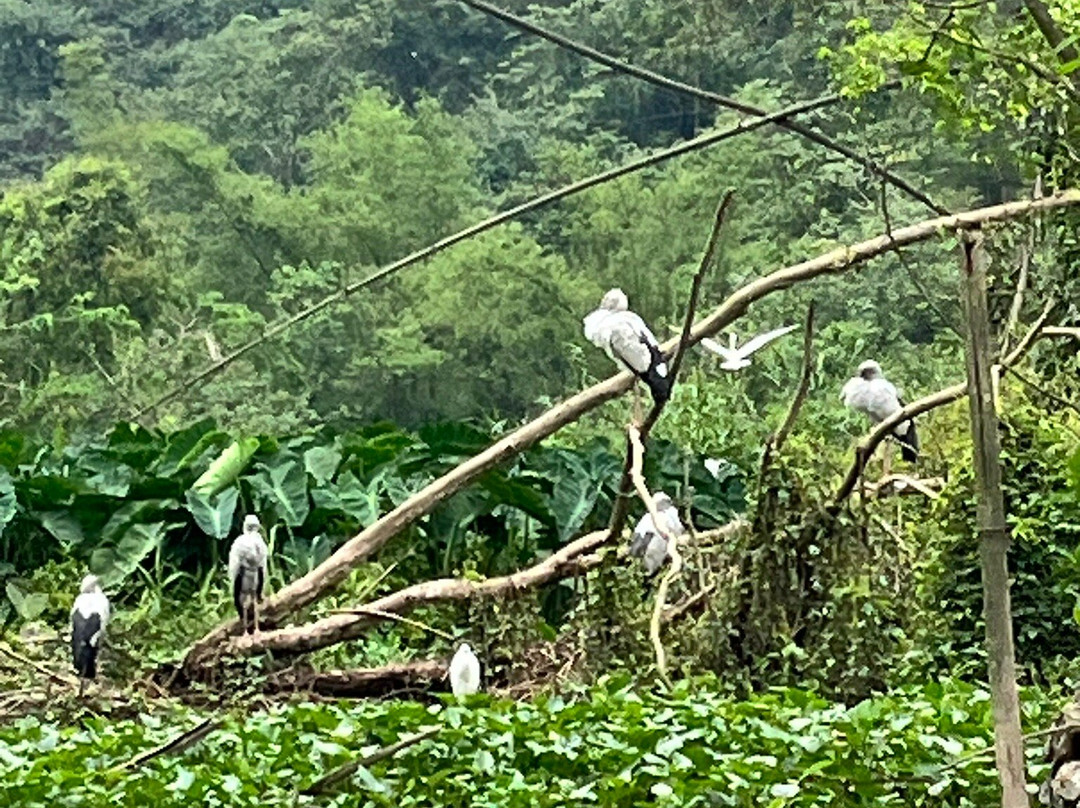 Thung Nham Bird Park景点图片