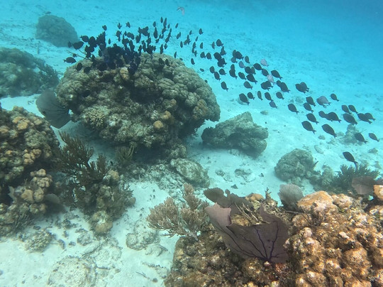 Mainstay Sailing-西湾必去景点