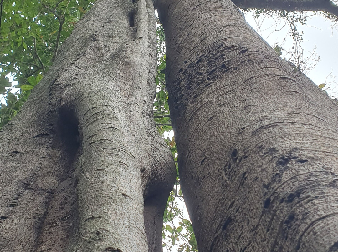 Vietnam Insider Travel-下龙湾必去景点