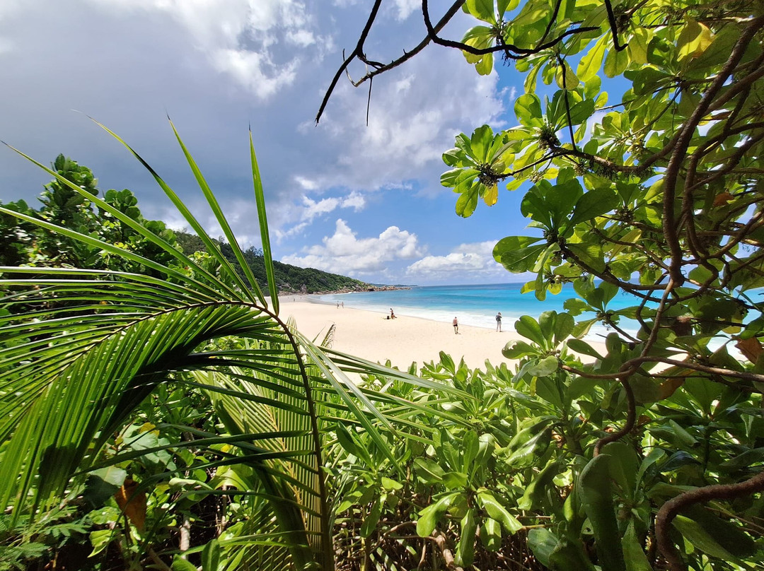 Zerof Guest House主图