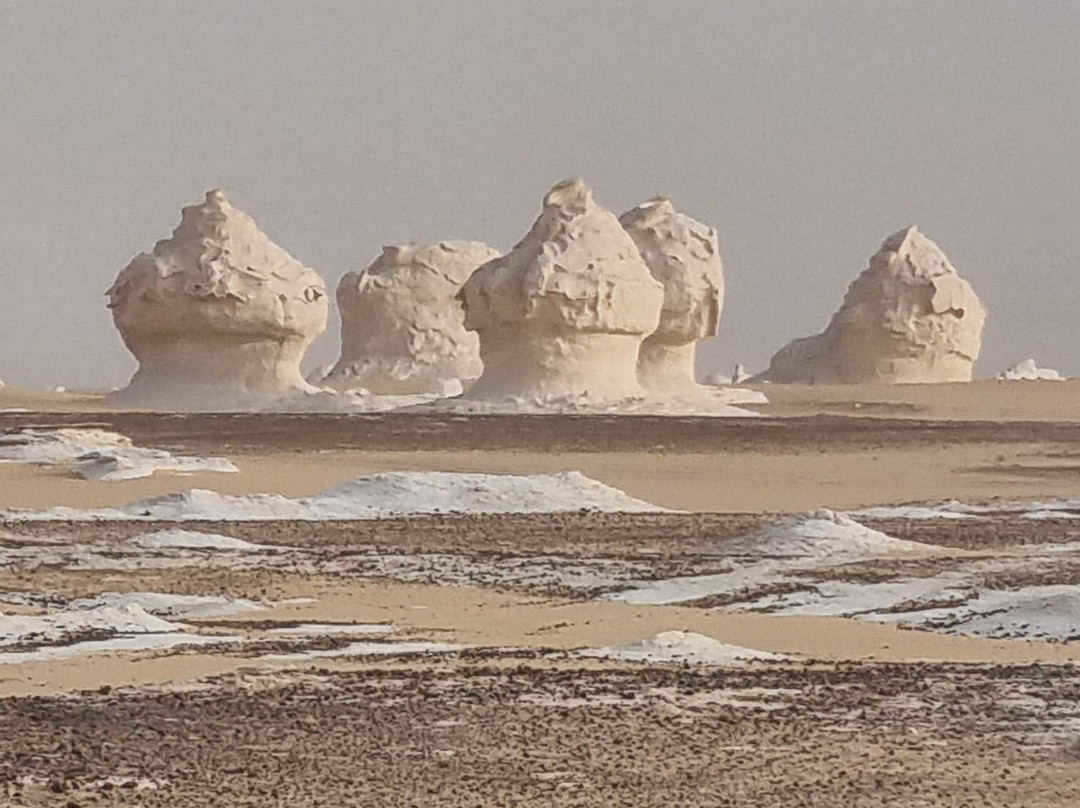 white desert travel-Bahariya Oasis必去景点
