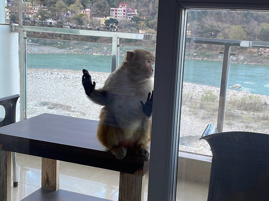 Himalayas Within-里希克虚必去景点