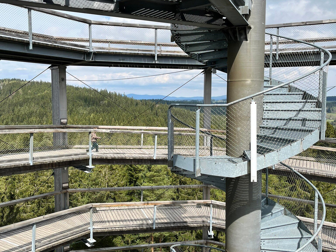 Treetop Walkway-利诺纳佛塔沃必去景点