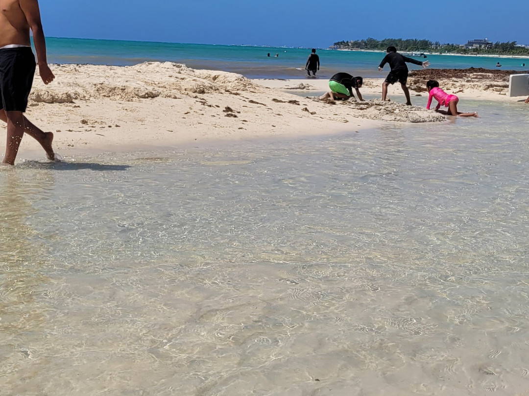 Playa Punta Esmeralda景点图片