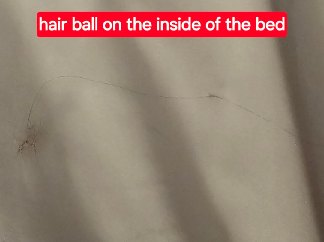 肯尼迪太空中心品质酒店主图