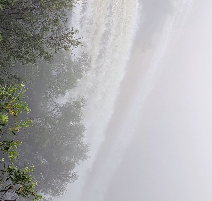 Fitzroy Falls Visitor Centre-Fitzroy Falls必去景点