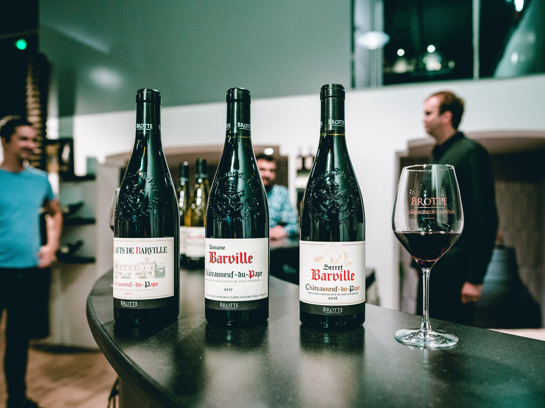 Musee du Vin Brotte Dégustation et Vente景点图片