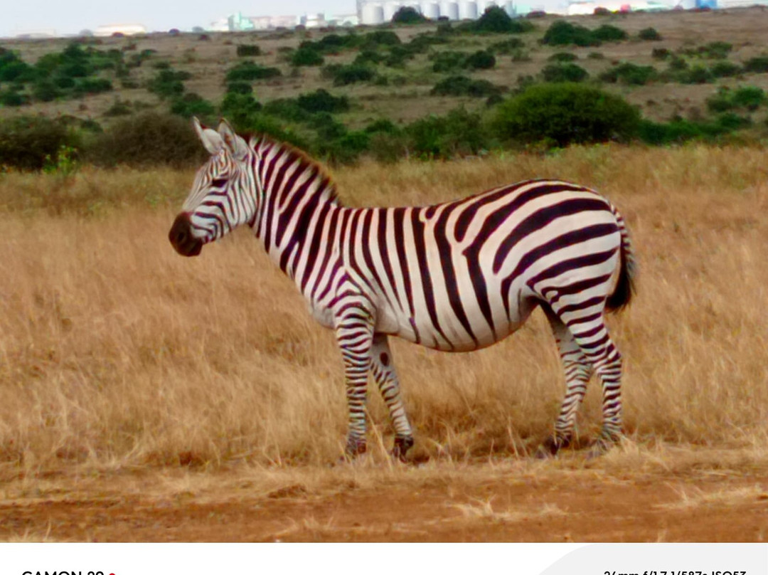 Africompass travel-内罗毕必去景点