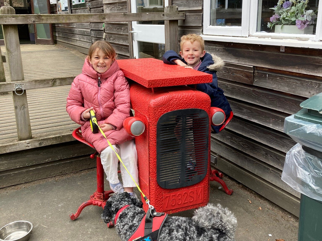 Hamsterley Forest-Hamsterley必去景点