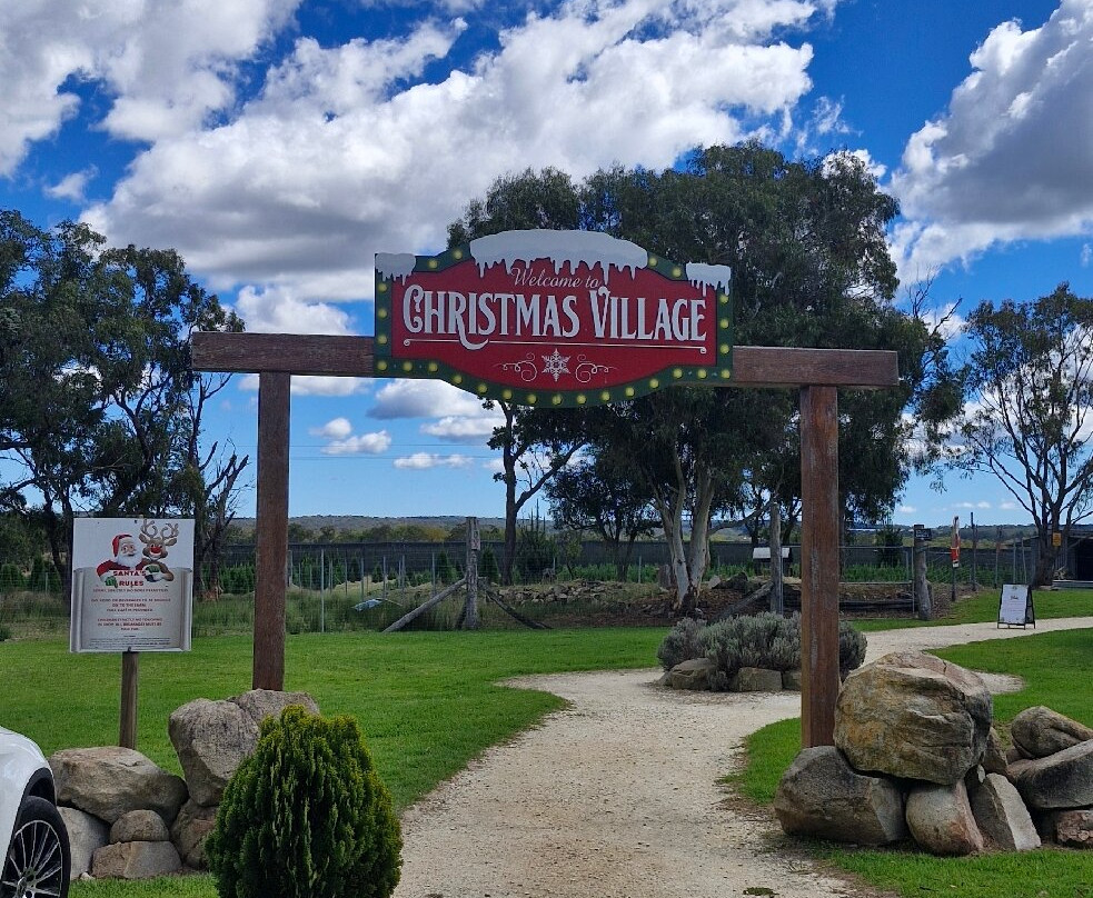 Granite Belt Christmas Farm景点图片