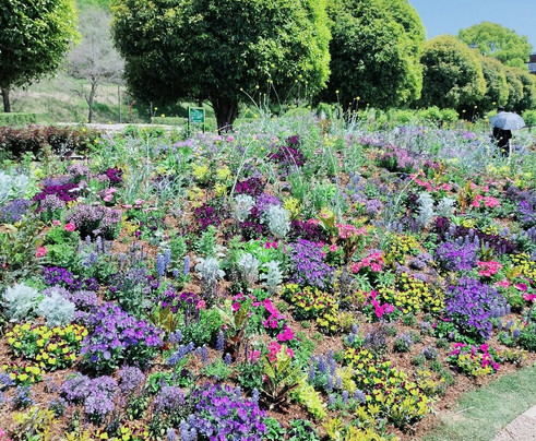 Hana Festa Memorial Park-可儿市必去景点