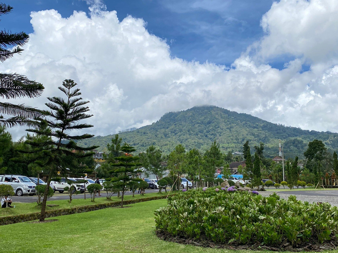 Bali Farm House景点图片