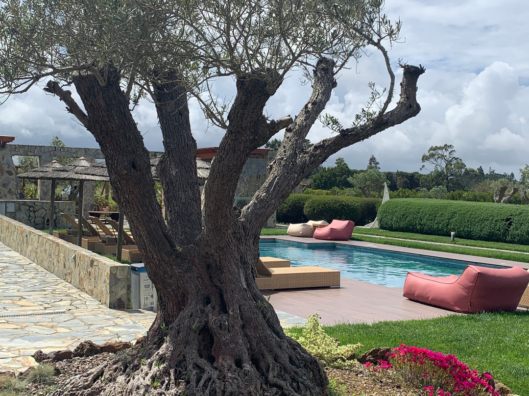 Monte do Cardal主图