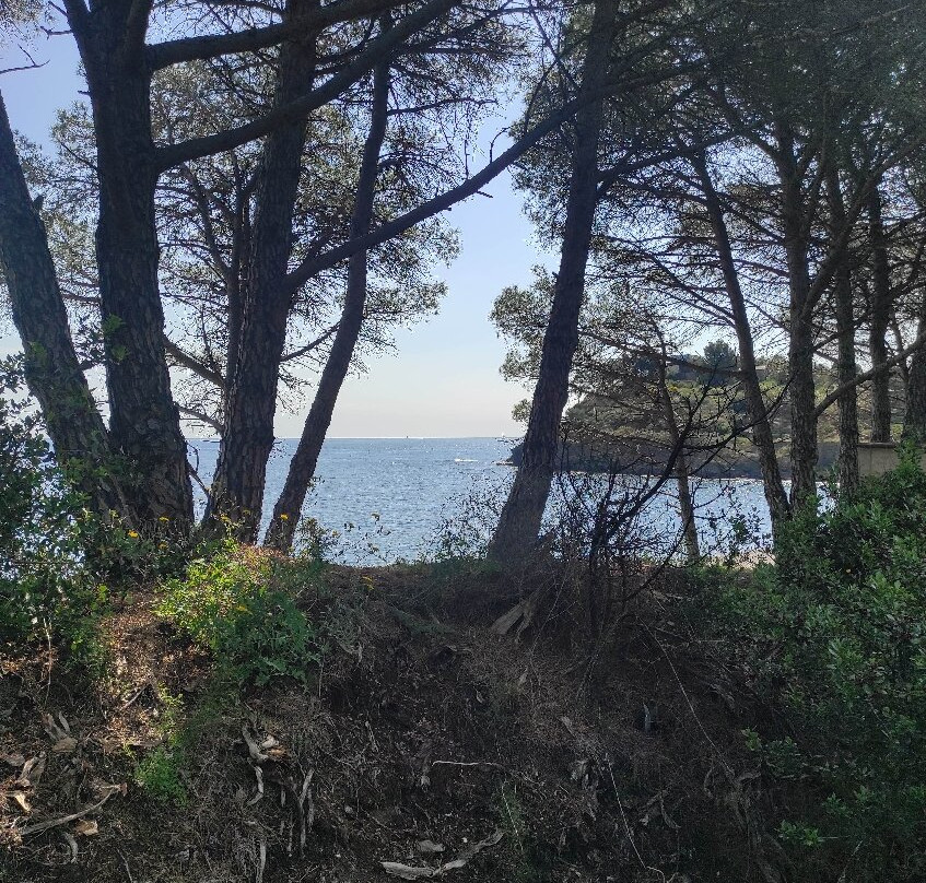 Dynamiterie de Paulilles-Port-Vendres必去景点