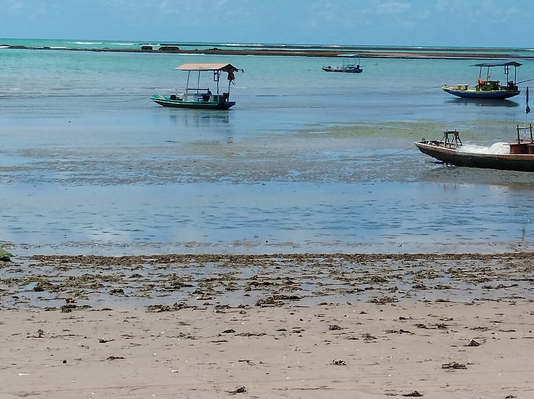 Riacho Beach-Sao Miguel dos Milagres必去景点