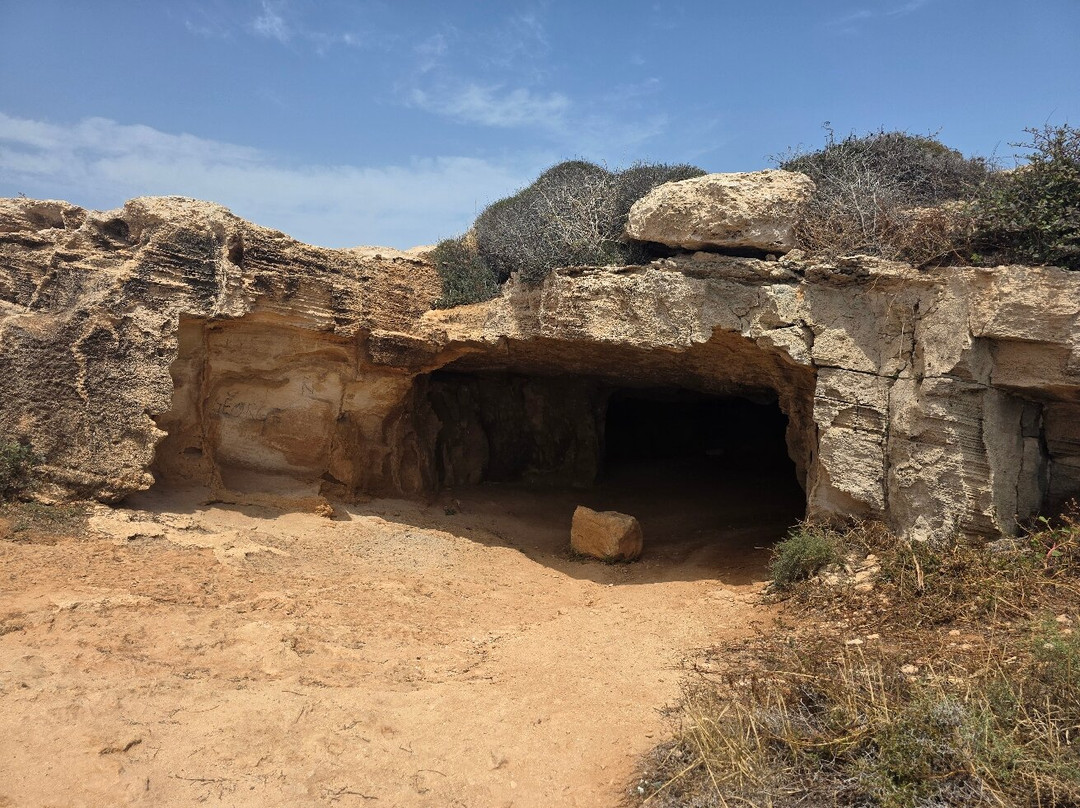 Cyprus Diving Centre-Pernera必去景点