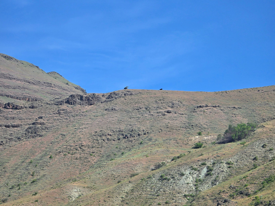 Snake Dancer Excursions-Clarkston必去景点