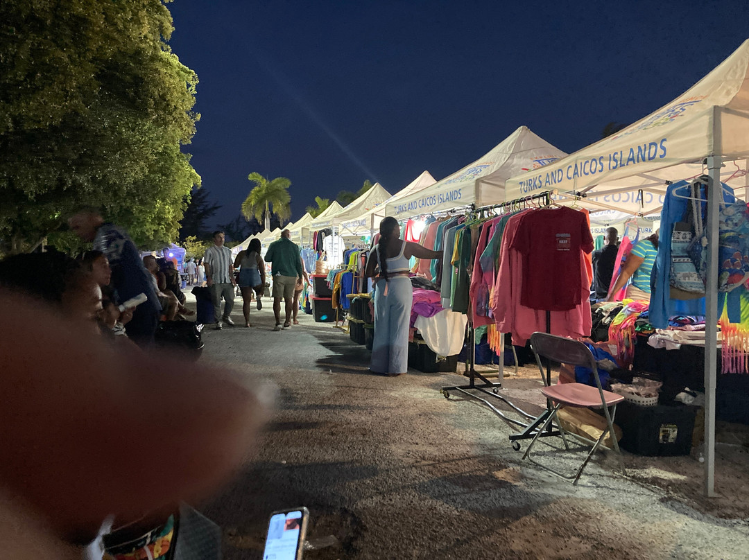 Island Fish Fry-普罗维登西亚莱斯必去景点