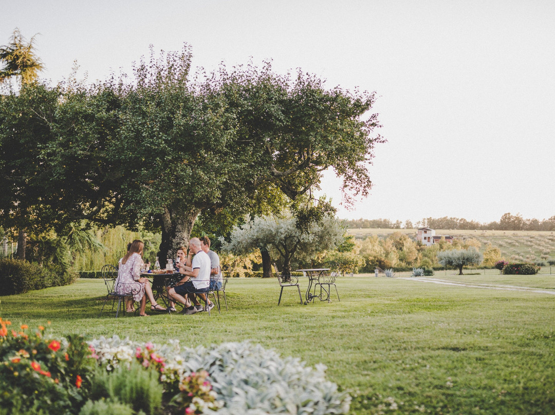 Olivo Istriano: Authentic Istrian family farm, guided walk, foods & wine