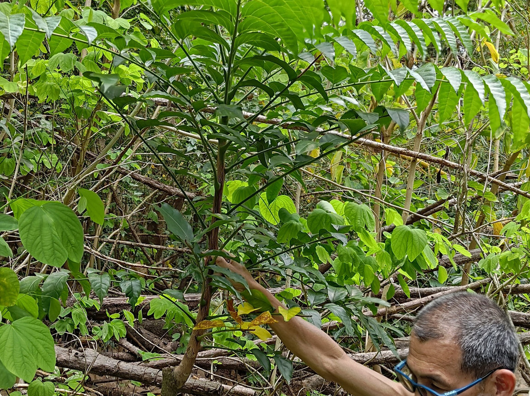 Ho Ho Go Experience Limited-香港必去景点