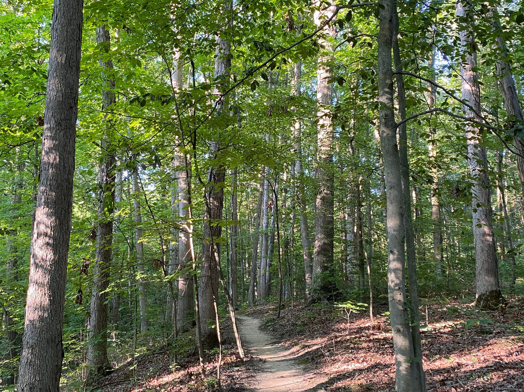 Mill Stream Run Reservation-克利夫兰必去景点