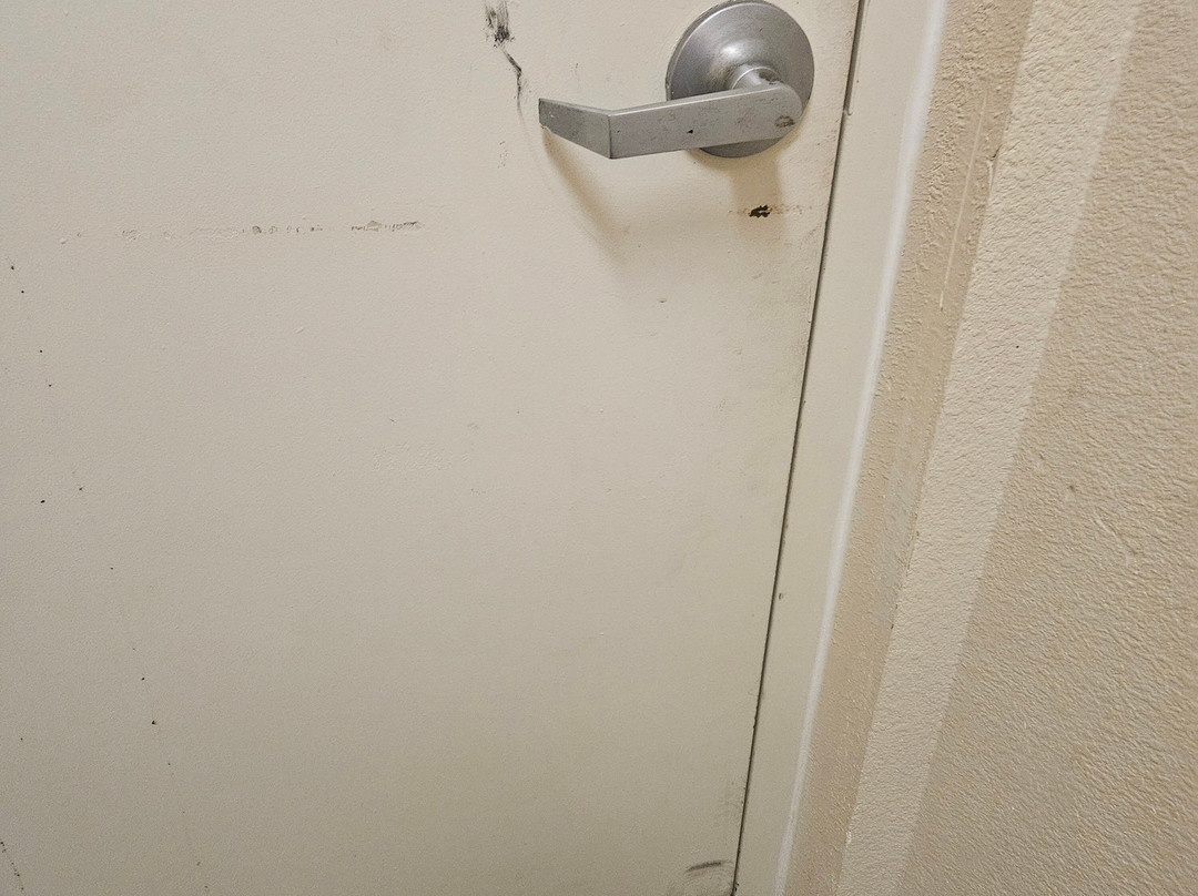 Best Western Plus Sanford Airport/Lake Mary Hotel主图