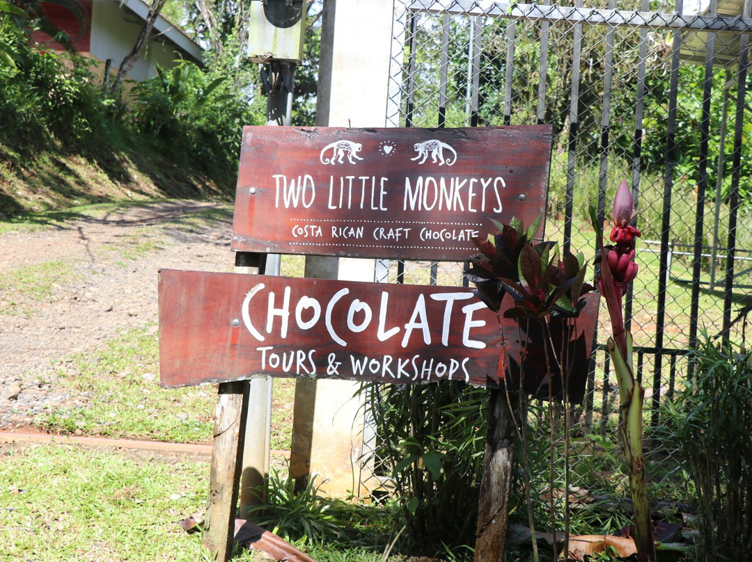 Two Little Monkeys Chocolate Tour-福德圣卡洛斯必去景点