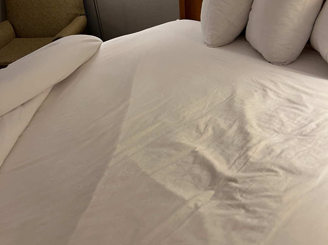 Wingate by Wyndham Bentonville Airport主图