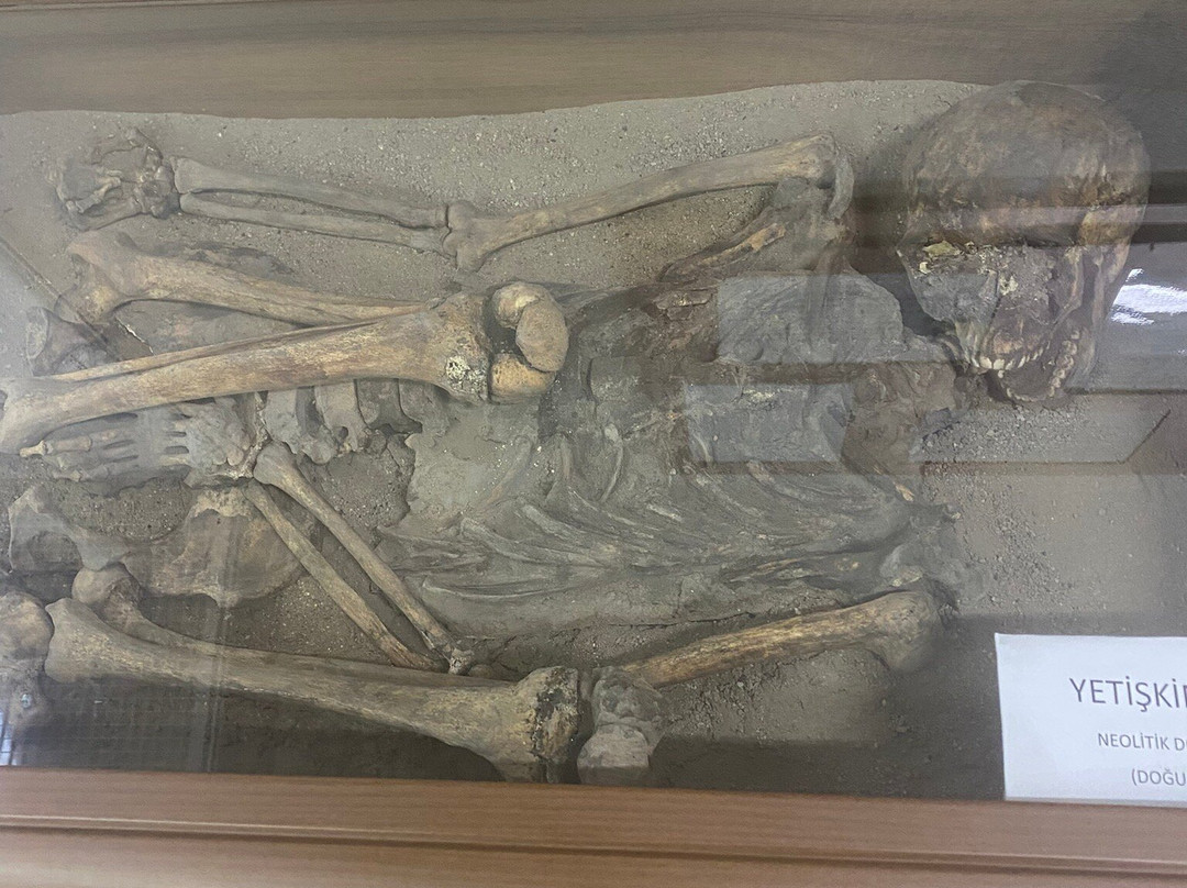 Konya Archaeological Museum-科尼亚必去景点
