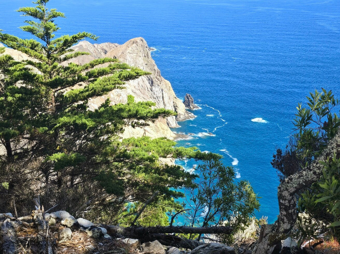 PS PR1 Vereda Pico Branco and Terra Chã-Porto Santo Island必去景点