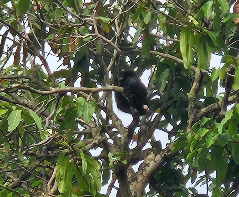 Hotel El Jardin主图