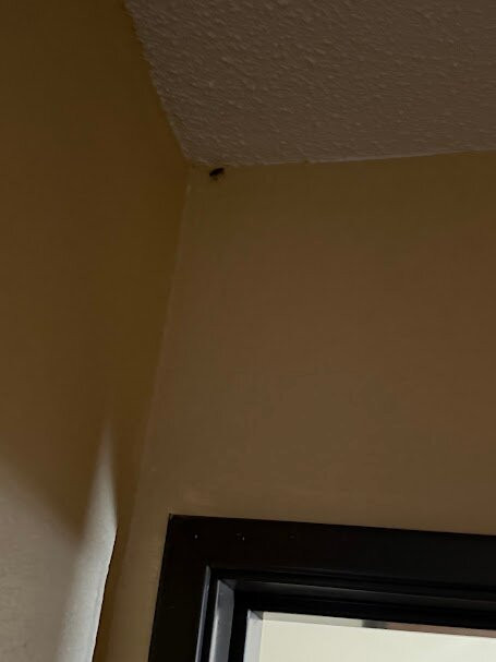 Super 8 by Wyndham Maysville KY主图