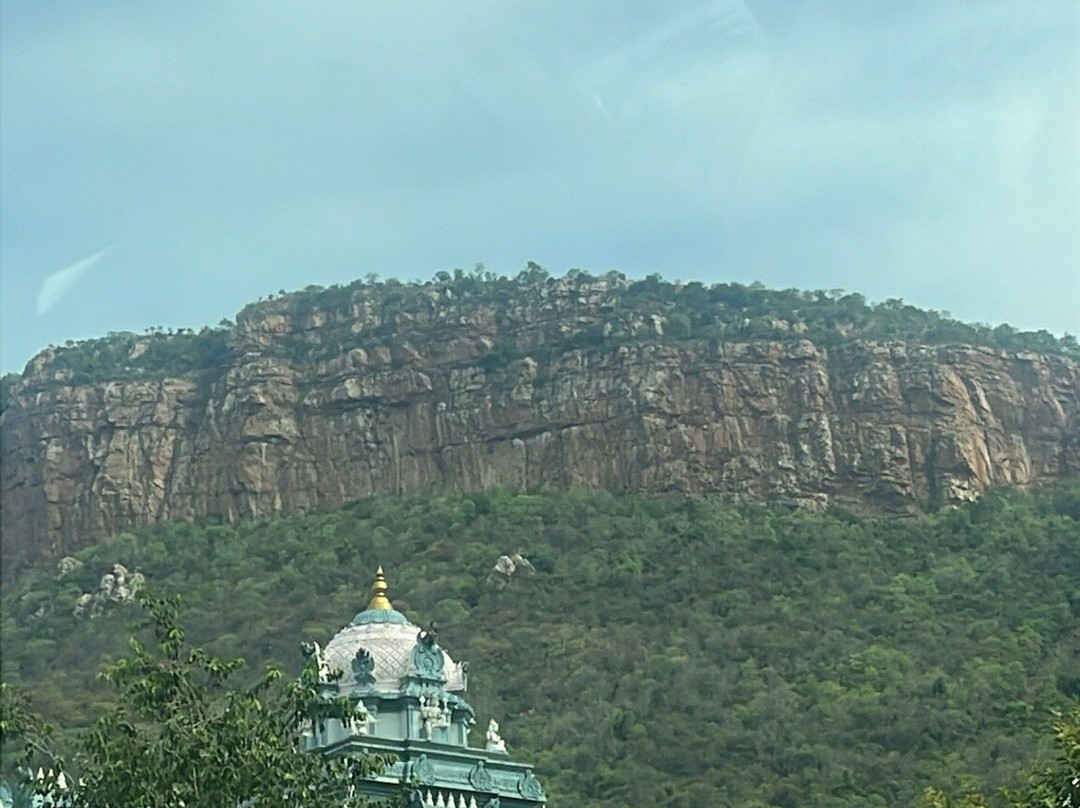 Tirumala Tirupati Devasthanams-蒂鲁伯蒂必去景点
