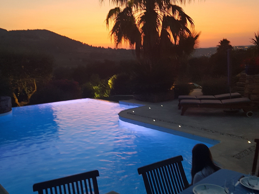 La Cigale sous l'Olivier主图