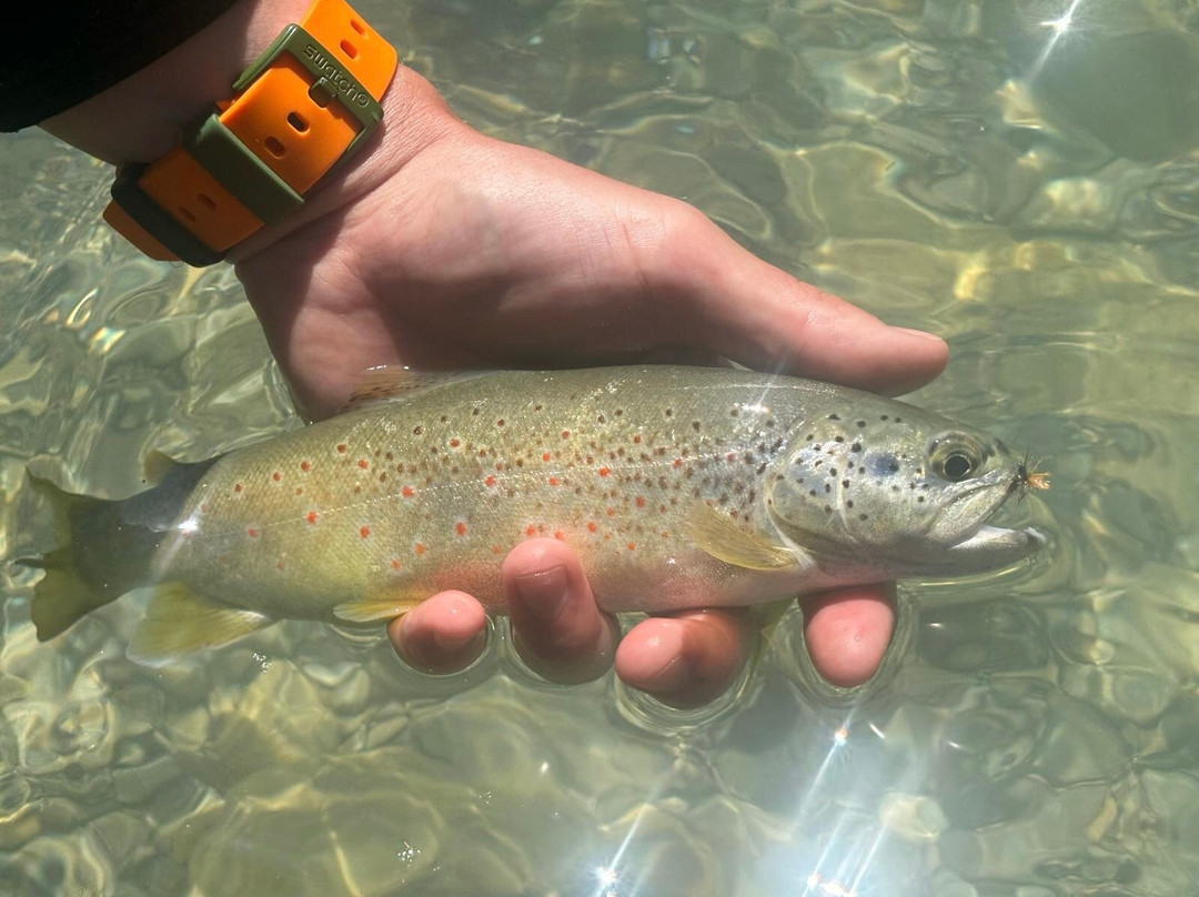 Riviera fly-fishing景点图片