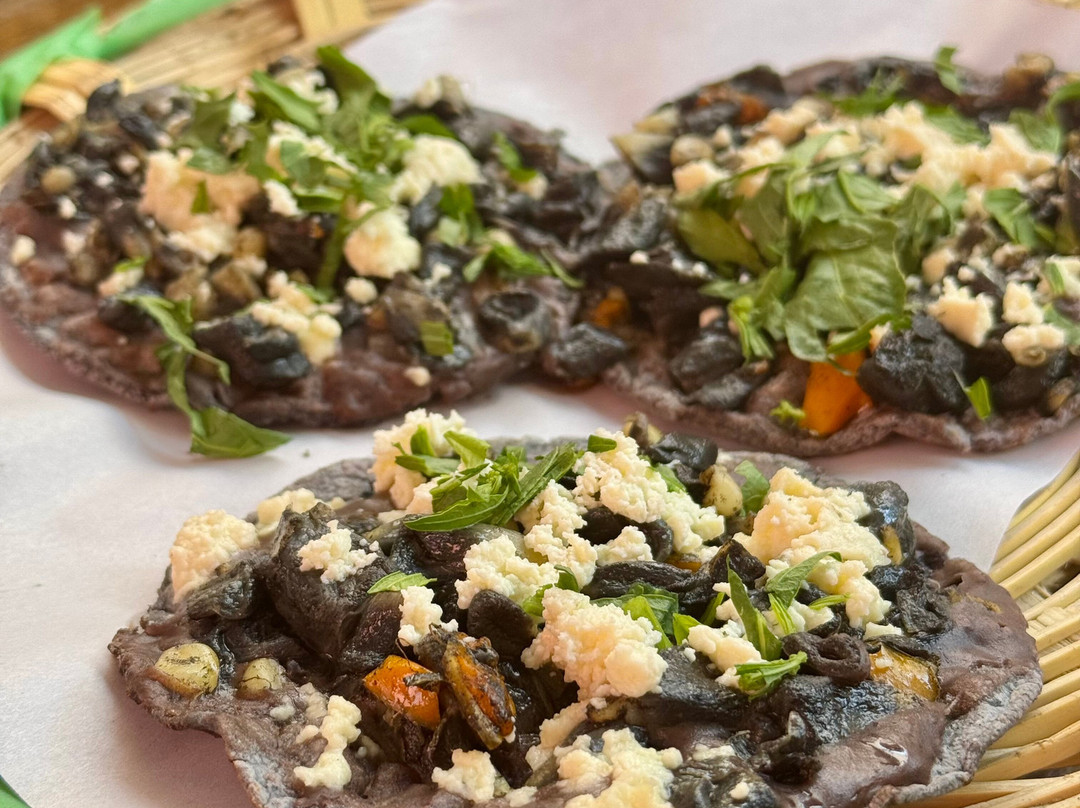 Discover Oaxaca Tours-瓦哈卡必去景点