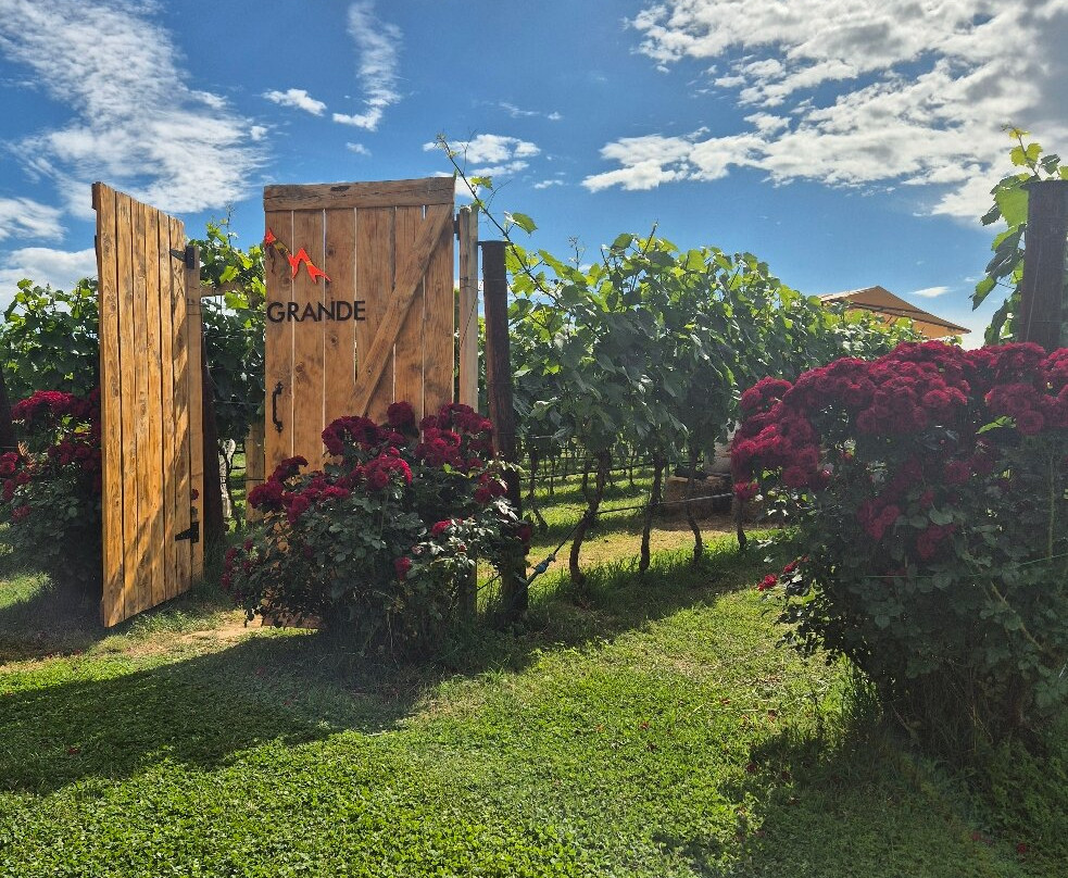 Monte Grande Winery-波德戈里察必去景点