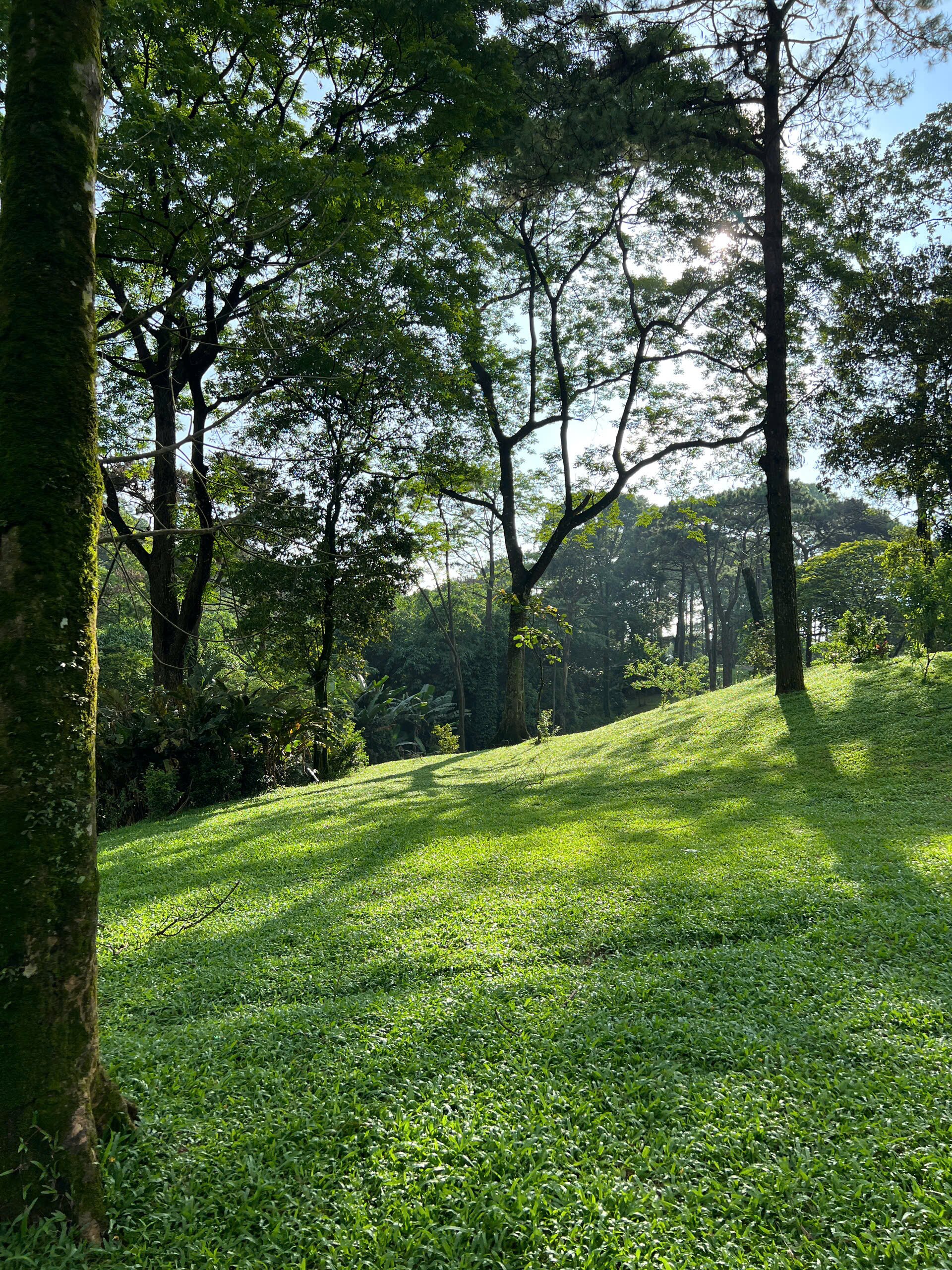 Melia Ba Vi Mountain Retreat-浴室